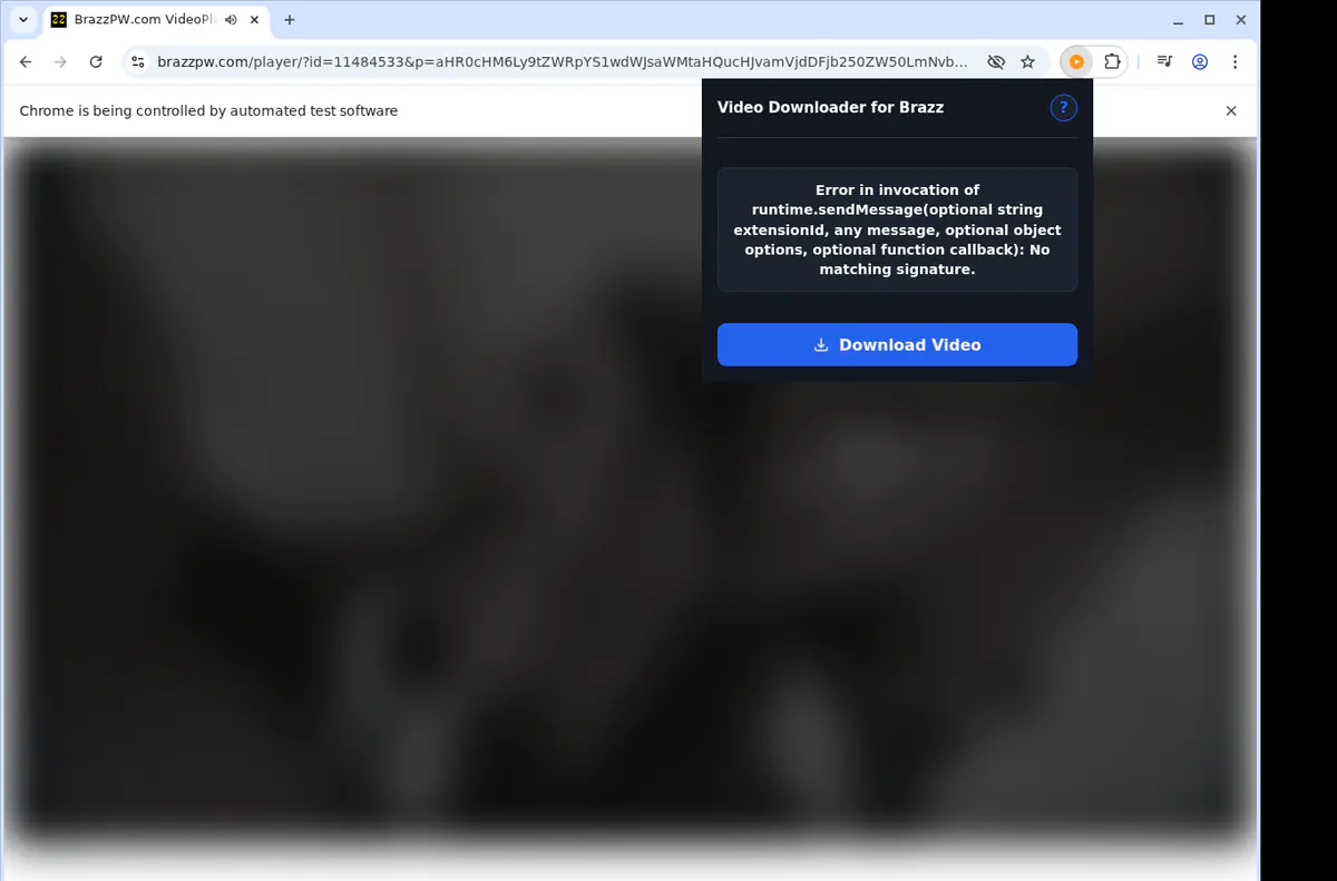 Brazz Video Downloader browser extension screenshot 2