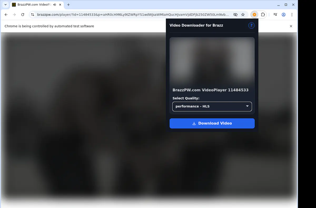 Brazz Video Downloader browser extension screenshot 3