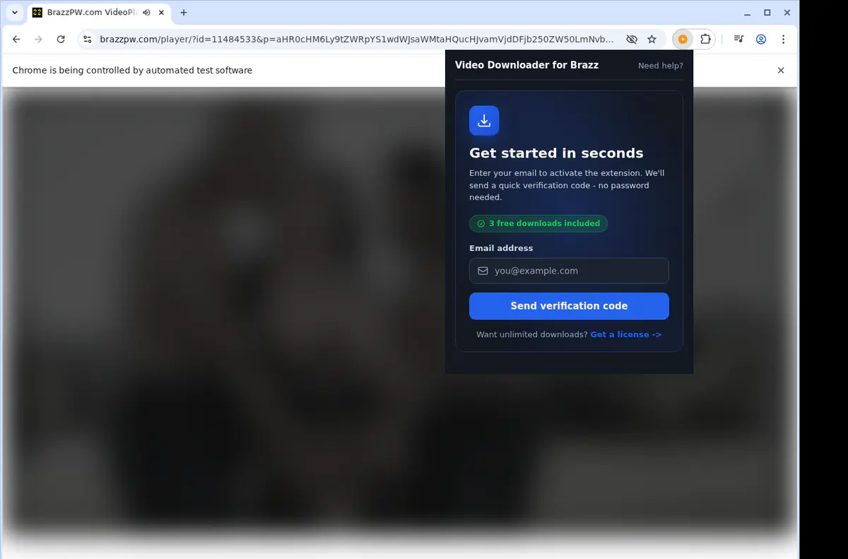 Brazz Video Downloader browser extension screenshot 4