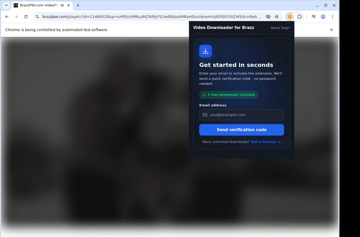 Brazz Video Downloader browser extension screenshot 5